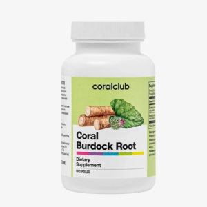 Coral Burdock Root