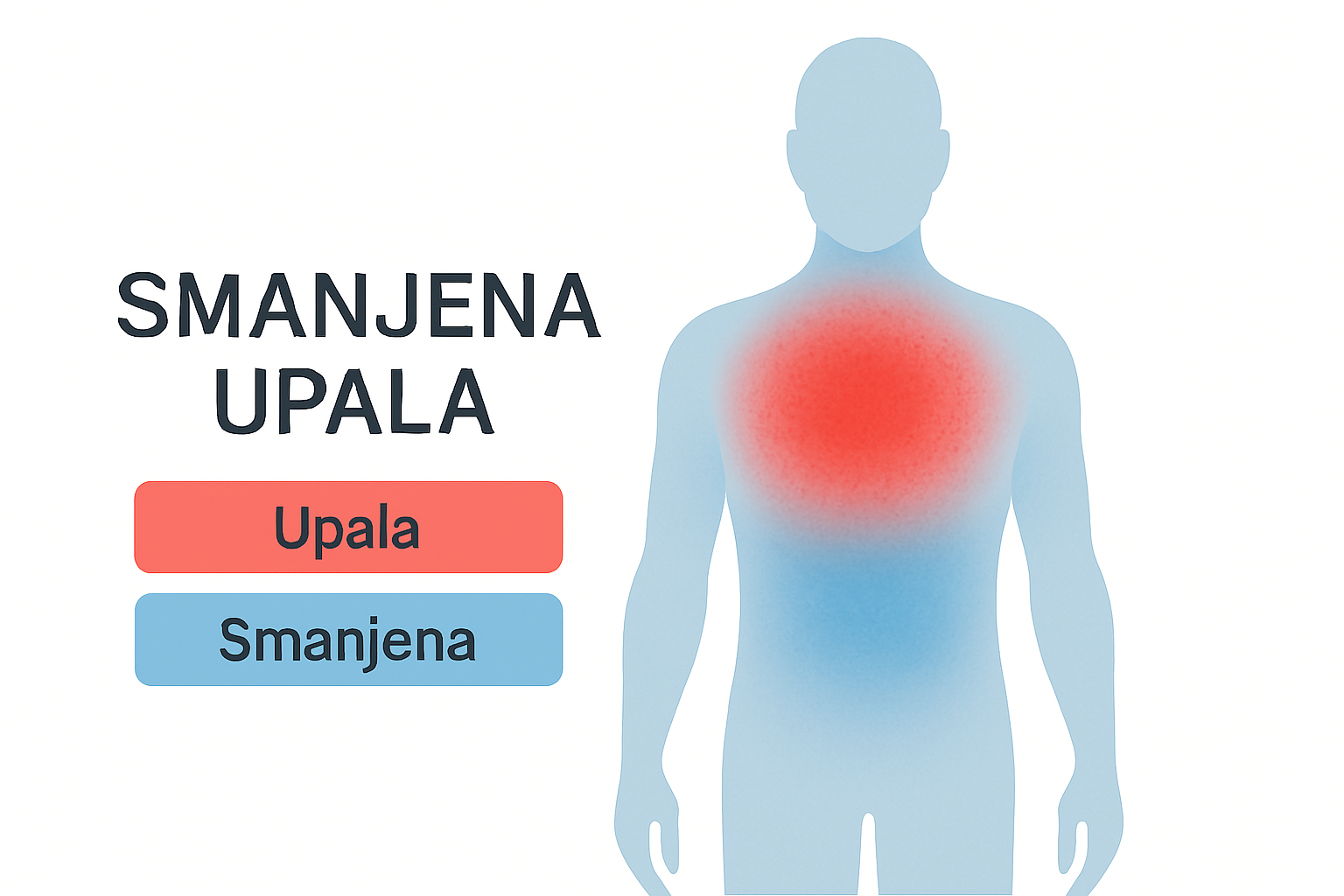 Smanjena upala u telu